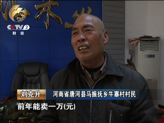 他告訴記者最多的一年曾經(jīng)賣過一萬元錢現(xiàn)在由于種植面積減少收入也下降了很多 他告訴記者最多的一年曾經(jīng)賣過一萬元錢現(xiàn)在由于種植面積減少收入也下降了很多