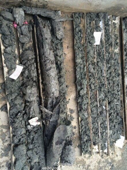 武漢地鐵施工現(xiàn)場挖出疑似天價(jià)烏木