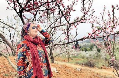 公式“時(shí)尚奶奶”的賞花照，收獲了好多人的點(diǎn)贊。 受訪者供圖