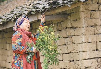 公式“時(shí)尚奶奶”的賞花照，收獲了好多人的點(diǎn)贊。 受訪者供圖