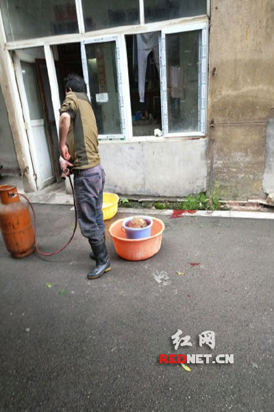 5月8日，男子在校園里殺狗，地上殘留一塊血跡。目擊者供圖。