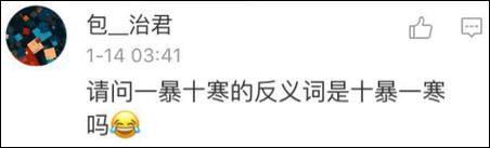 鶴立雞群？雞立鶴群！