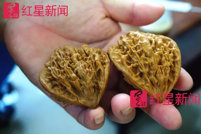 文玩核桃遇冷由幾萬一對降到5元沒人要？商戶否認(rèn)