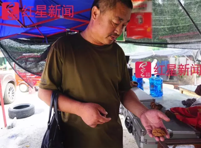 文玩核桃遇冷由幾萬一對降到5元沒人要？商戶否認(rèn)