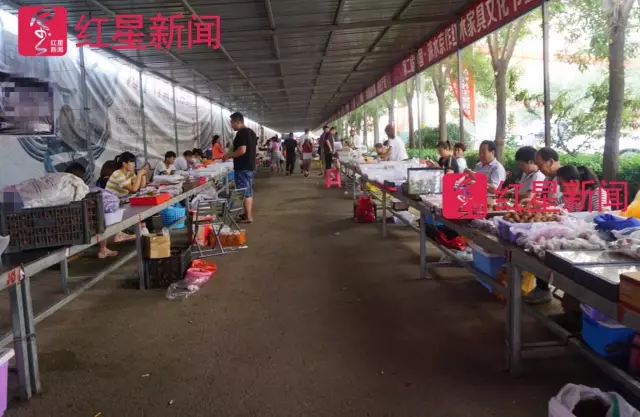 文玩核桃遇冷由幾萬一對降到5元沒人要？商戶否認(rèn)