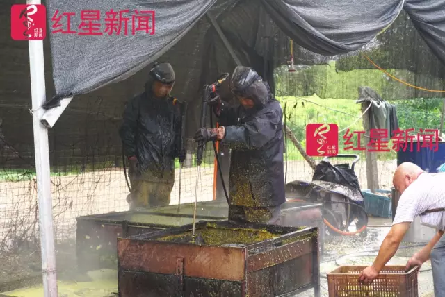 文玩核桃遇冷由幾萬一對降到5元沒人要？商戶否認(rèn)