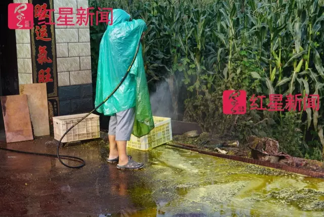 文玩核桃遇冷由幾萬一對降到5元沒人要？商戶否認(rèn)