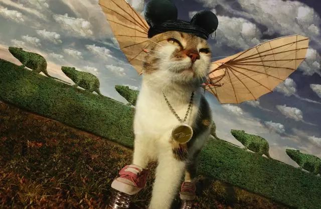 一只虛擬寵物貓叫價(jià)13億元？云養(yǎng)貓成真