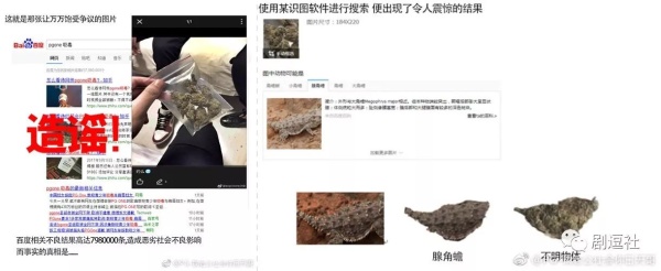 PGone又教給我們一個(gè)新詞：虐粉。