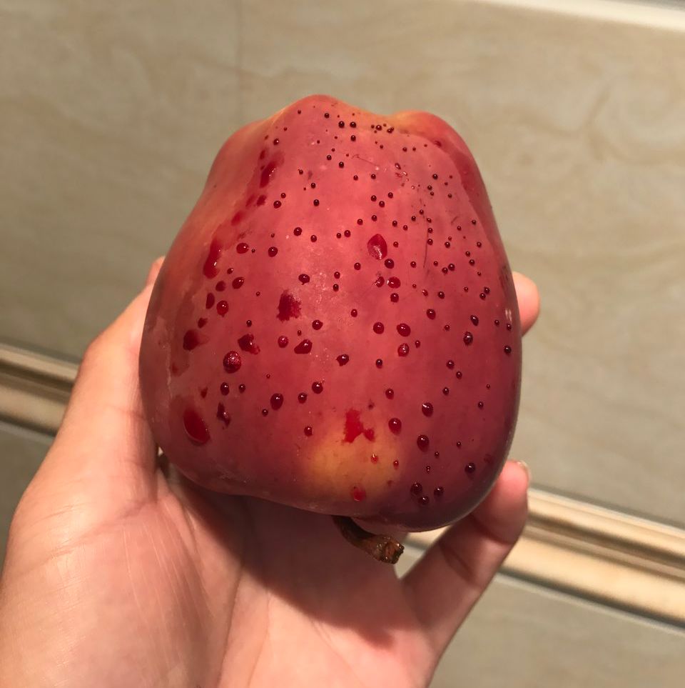 嚇懵！女子用熱水泡蘋果結(jié)果冒出血珠 咋回事？