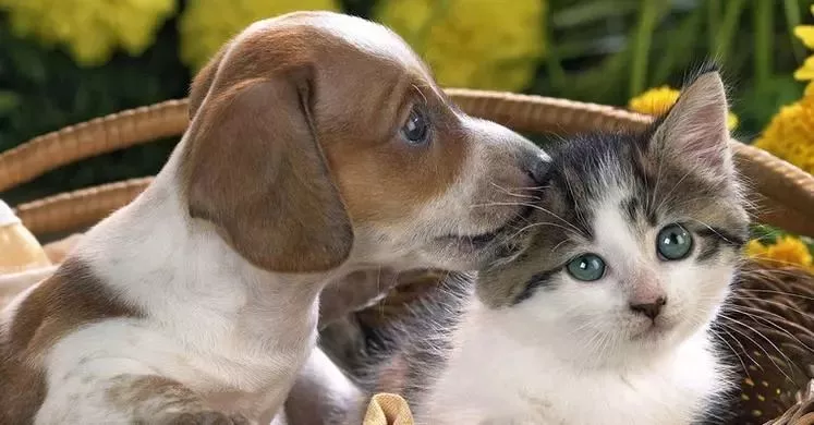 可憐！12歲女孩右眼完全失明 只因平時有這愛好