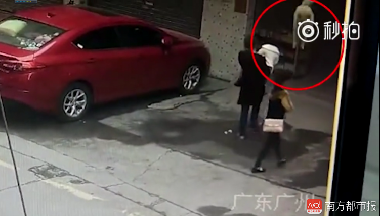 廣州高空墜狗砸傷女子 警方：暫未認(rèn)定為刑事案件