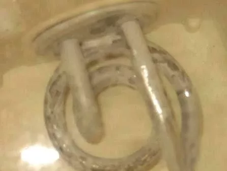 太惡心！女游客竟用酒店燒水壺煮自己的臟內(nèi)褲