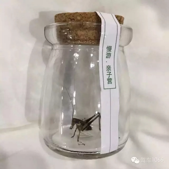 看看我的成果吧！