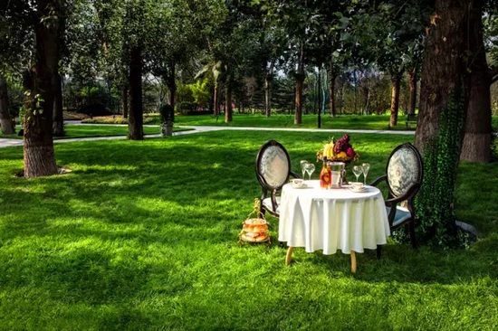 秋陽鴻園，芳草青青