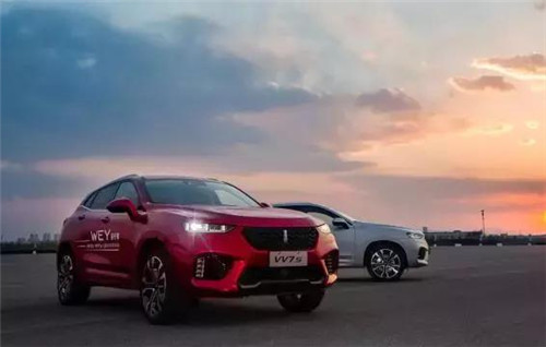 去年“蹦”出來的新汽車品牌們，現(xiàn)在活得怎么樣了？