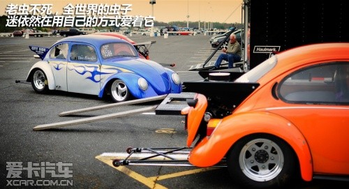 大眾甲殼蟲(chóng)