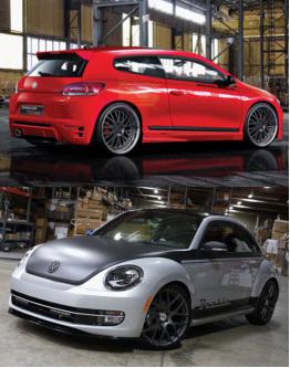 尚酷、甲殼蟲