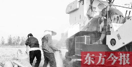 李正厚的妻子鮑本華（右）和一位村民拎著麻袋來到收割機(jī)前，接住傾倒出來的麥粒