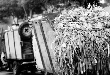 垃圾車、渣土車再在市區(qū)“裸奔”就是違法了