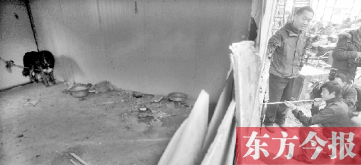 12月4日，鄭州市未來路與隴海路交叉口西側(cè)，執(zhí)法人員用吹管麻醉針對付一只藏獒