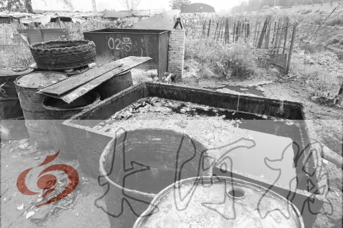 　　骯臟、令人作嘔的油桶凌亂地擺放在院子里，為了避免視覺刺激，我們把它做成了黑白圖片。