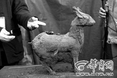 一件似羊似鹿的犧尊華麗亮相，可愛的造型“萌翻”現(xiàn)場。