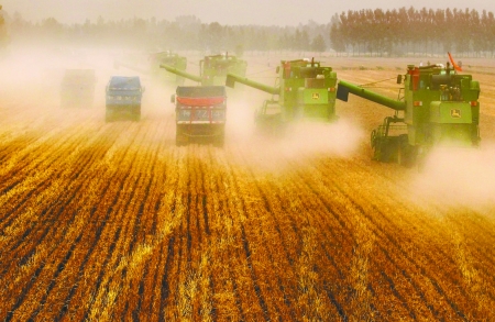 田里，一臺臺收割機唱著豐收歌。