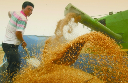 心情喜悅麥龍舞。