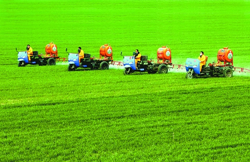 車載噴霧機奔駛在萬畝高產(chǎn)田里。