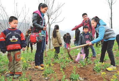 我挖坑來(lái)你栽樹