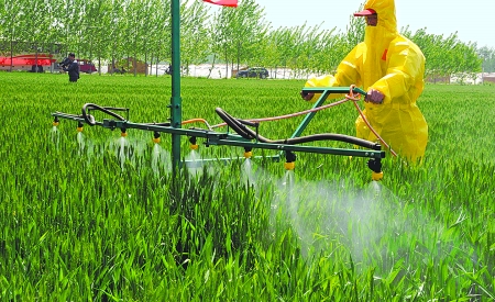 河南省扶溝縣韭園鎮(zhèn)農(nóng)民在示范基地內(nèi)進行麥田施肥作業(yè) 河南省扶溝縣韭園鎮(zhèn)農(nóng)民在示范基地內(nèi)進行麥田施肥作業(yè)