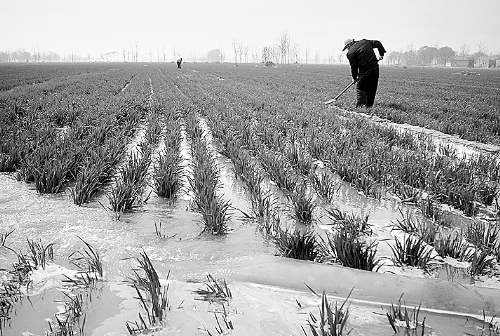 3月25日，濮陽縣郎中鄉(xiāng)大趙寨村農(nóng)民在為小麥澆水。連日來，濮陽縣廣大農(nóng)民不誤農(nóng)時，及時為麥田施肥、澆