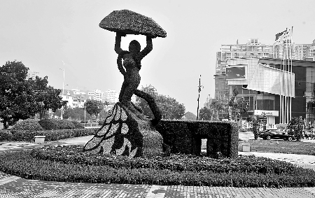 8月28日，南陽街頭繁花似錦，市民宛若行走在花海之中。