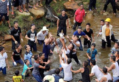 廣西舉辦鬧魚(yú)節(jié) 上萬(wàn)人水塘抓魚(yú) 廣西舉辦鬧魚(yú)節(jié) 上萬(wàn)人水塘抓魚(yú)