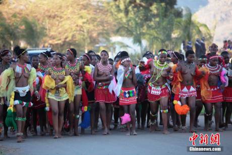斯威士蘭蘆葦節(jié)開(kāi)選秀女 斯威士蘭蘆葦節(jié)開(kāi)選秀女
