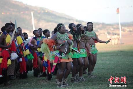 斯威士蘭蘆葦節(jié)開(kāi)選秀女 斯威士蘭蘆葦節(jié)開(kāi)選秀女