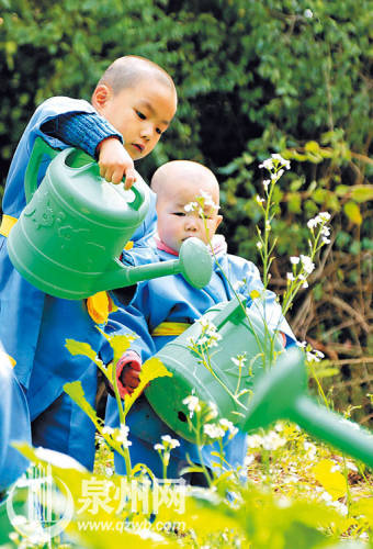 泉州延福寺現(xiàn)乖萌 泉州延福寺現(xiàn)乖萌