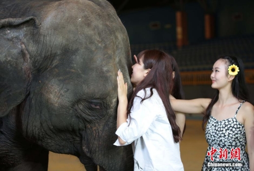 學(xué)生參加?；ㄐ２荽筚?穿比基尼秀身材