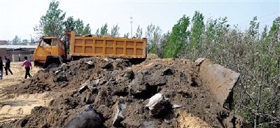 垃圾將生態(tài)涵養(yǎng)林給埋住了。