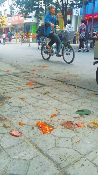 爛了一地的柿子影響市容，還常常滑倒人。