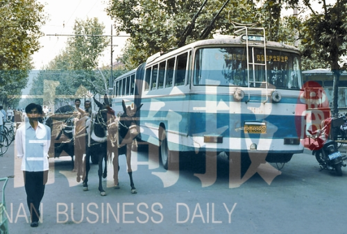 當年的伏牛路，驢車和公交車并行