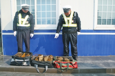 民警查獲的乘客行李包中，裝的全是獼猴。