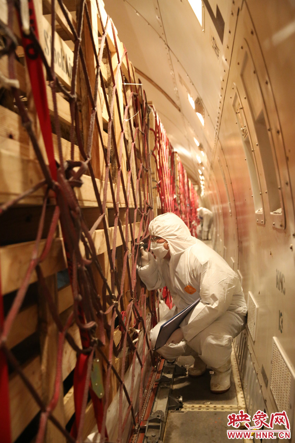 千只澳大利亞種羊“打飛的”落戶河南 創(chuàng)國內(nèi)多個第一 千只澳大利亞種羊“打飛的”落戶河南 創(chuàng)國內(nèi)多個第一