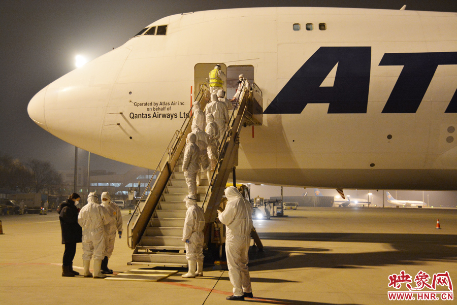 千只澳大利亞種羊“打飛的”落戶河南 創(chuàng)國內(nèi)多個第一 千只澳大利亞種羊“打飛的”落戶河南 創(chuàng)國內(nèi)多個第一