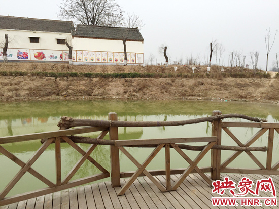 護(hù)欄損毀的地方，已經(jīng)被兩根樹(shù)干擋住。