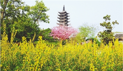 綠博園盛開(kāi)的鮮花“期待”和市民“約會(huì)”。