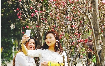 市民在公園與花合影。