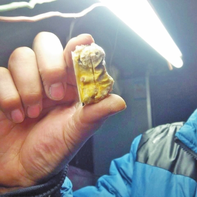 男子殺只弱公雞發(fā)現金黃肉疙瘩 疑為高價“雞寶” 男子殺只弱公雞發(fā)現金黃肉疙瘩 疑為高價“雞寶”