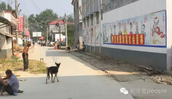 孫莊村一角。新京報(bào)記者安鐘汝 攝